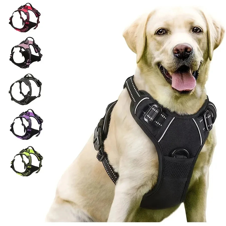 Dog Collars