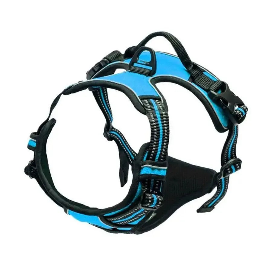 Dog Collars
