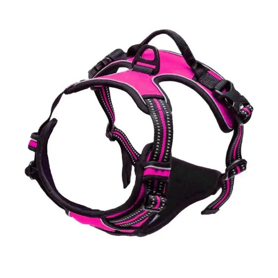 Dog Collars