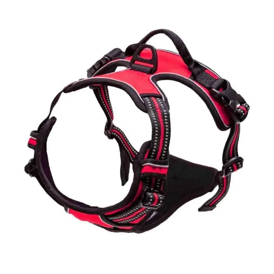 Dog Collars