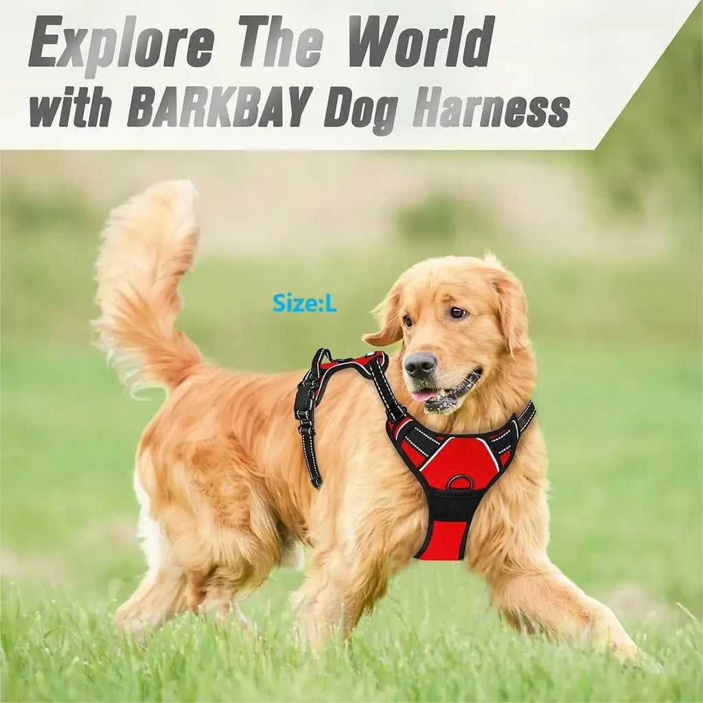 Dog Collars