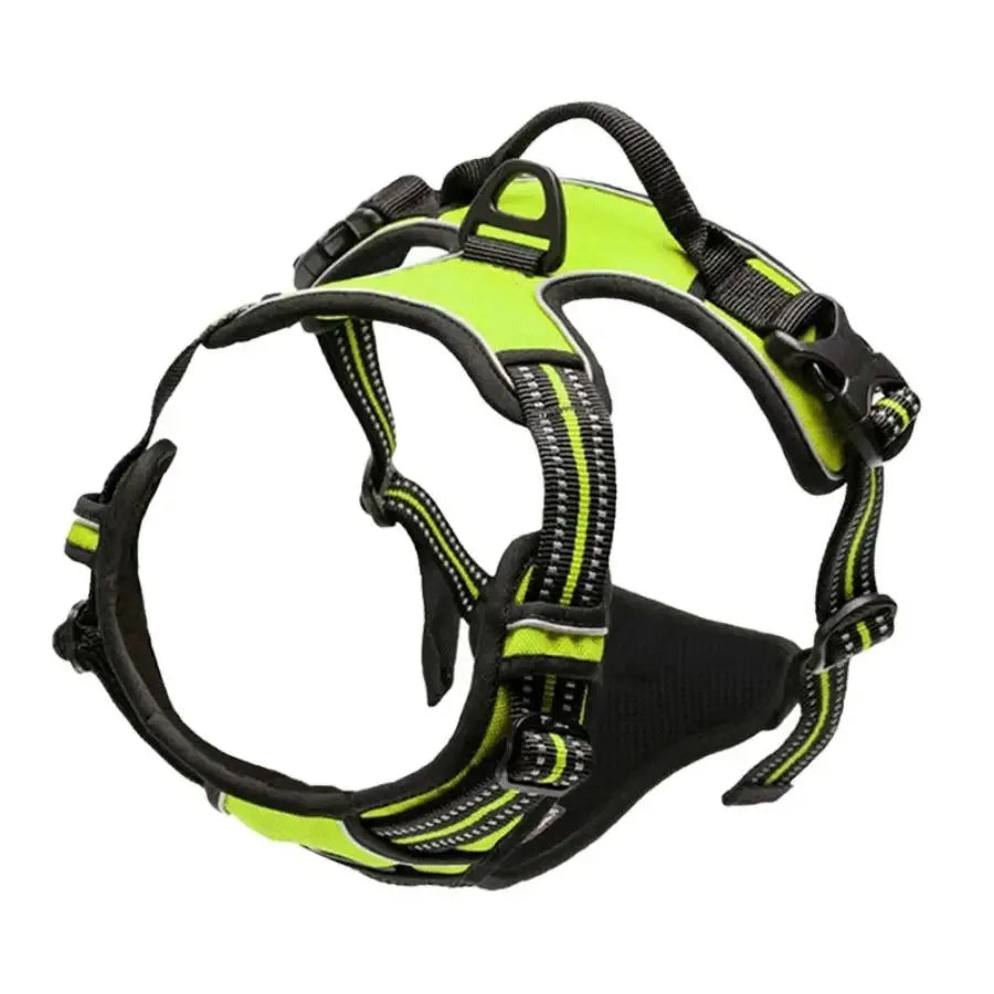 Dog Collars
