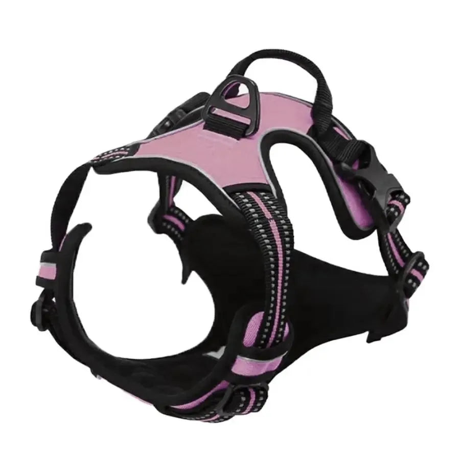 Dog Collars