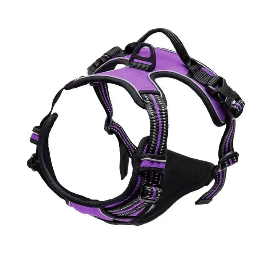 Dog Collars