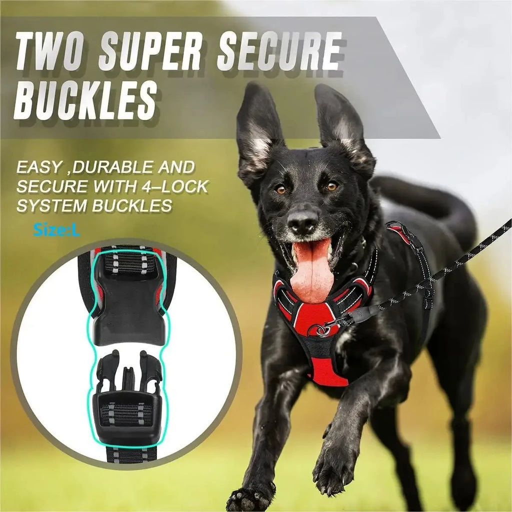 Dog Collars