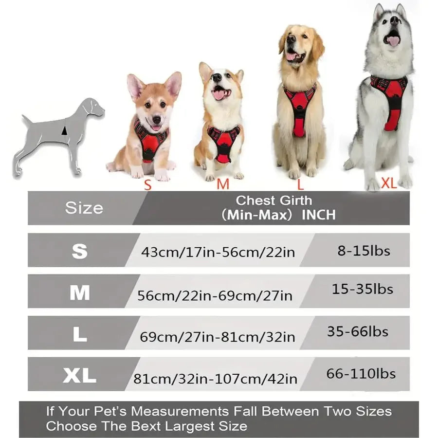 Dog Collars