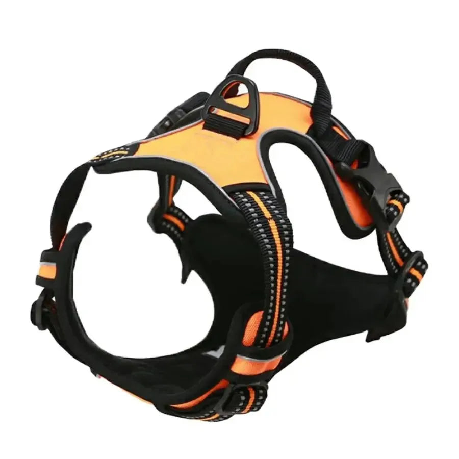 Dog Collars