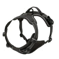 Dog Collars