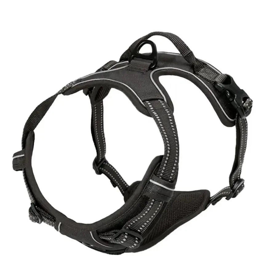 Dog Collars